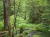 Wet section of Red Horse Trail